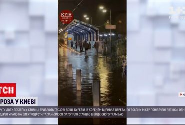 Київ другу добу потерпає під ударом стихії – вирвані дерева та пожежі від блискавиці