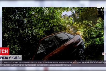 Спальний район Києва постраждав від падіння дерев – що там відбувається