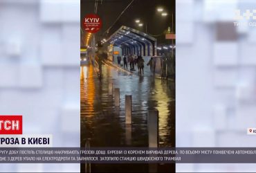 У Київській області грози знеструмили понад 100 населених пунктів