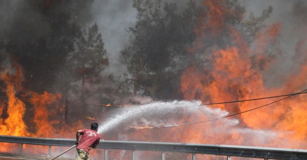 Спекотна погода в Європі спричинила масштабні лісові пожежі