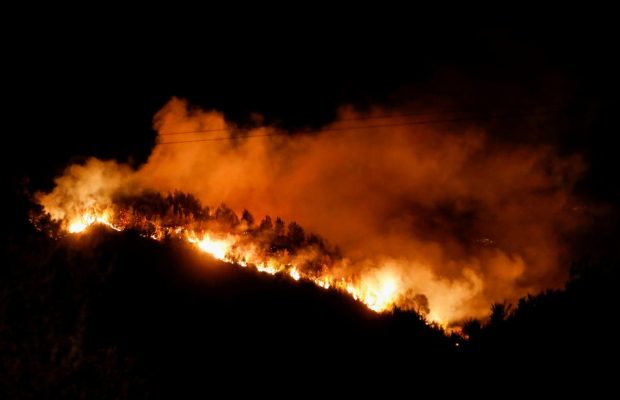 У Туреччині туристам заборонили відвідувати лісові масиви