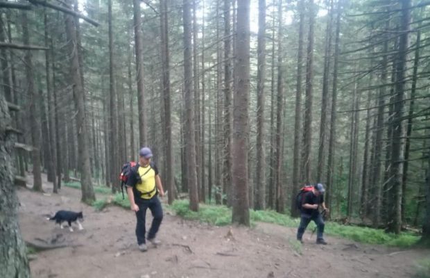 На горі Говерла шукають маленького хлопчика: дитина відстала від групи та зникла (відео)