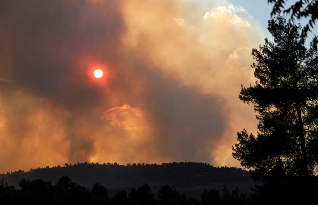 Лісові пожежі наближаються до Єрусалиму: небо в місті заволокло димом (фото, відео)