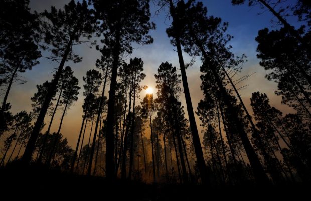 У Франції з'явилися перші жертви лісових пожеж: обвуглені тіла знайшли в будинку (фоторепортаж, відео)