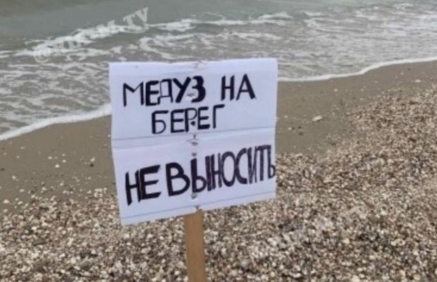 У Кирилівці туристам заборонили витягувати медуз на берег