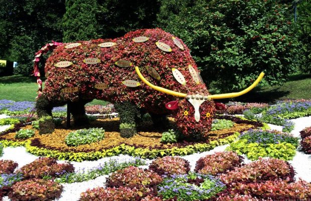 Всесвіт Примаченко: у Києві відкрилася квітуча виставка за творами славетної художниці (фоторепортаж)