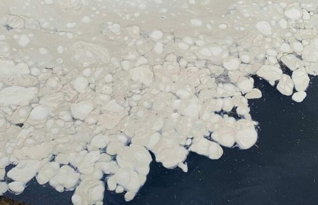 Фекалії та вода з басейнів: еколог пояснив дивні білі плями на пляжі в Одесі