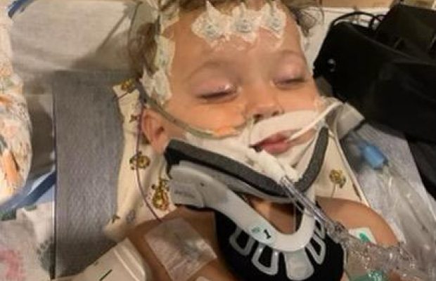 "Нам нужно чудо": Шэрон Стоун рассказала о горе в семье