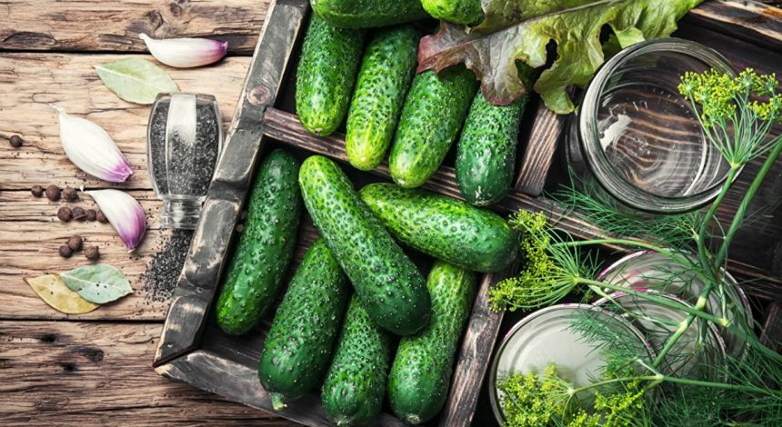 Утонченный вкус и пикантность: как готовить огурцы на зиму с горчицей и чесноком