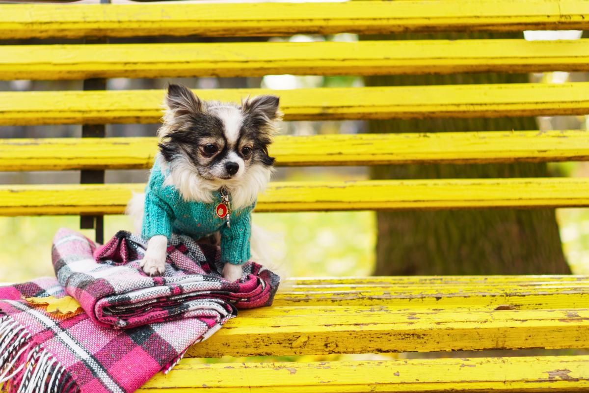 Листопад в Україні почався з похолодання та дощів / фото ua.depositphotos.com