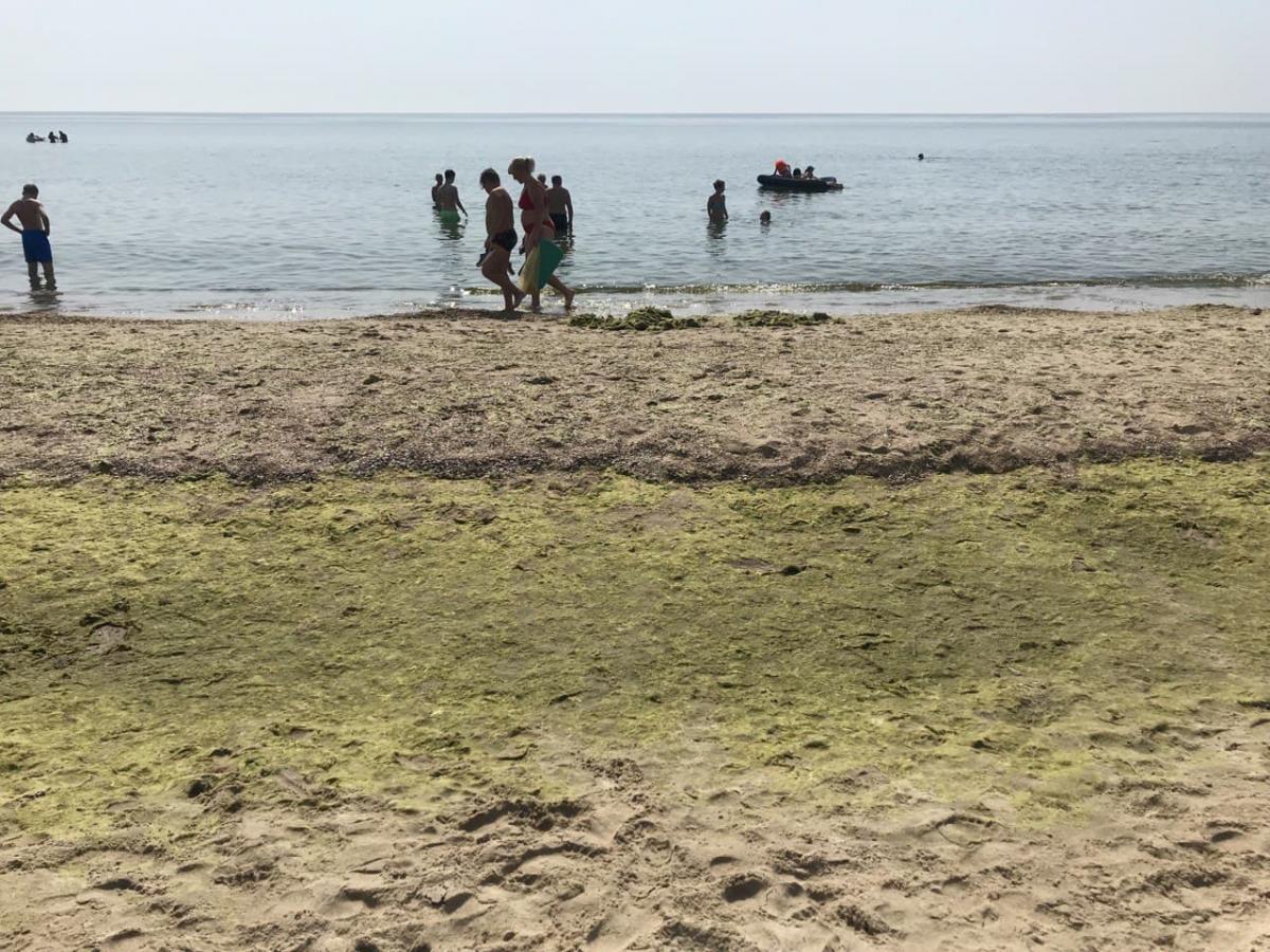 У Затоці стався вибух на пляжі / фото Ольга Робейко, УНІАН