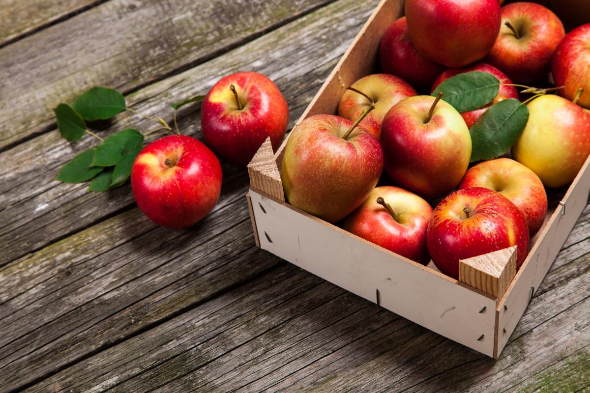 В Украине ожидается очень высокий урожай яблок / фото ua.depositphotos.com