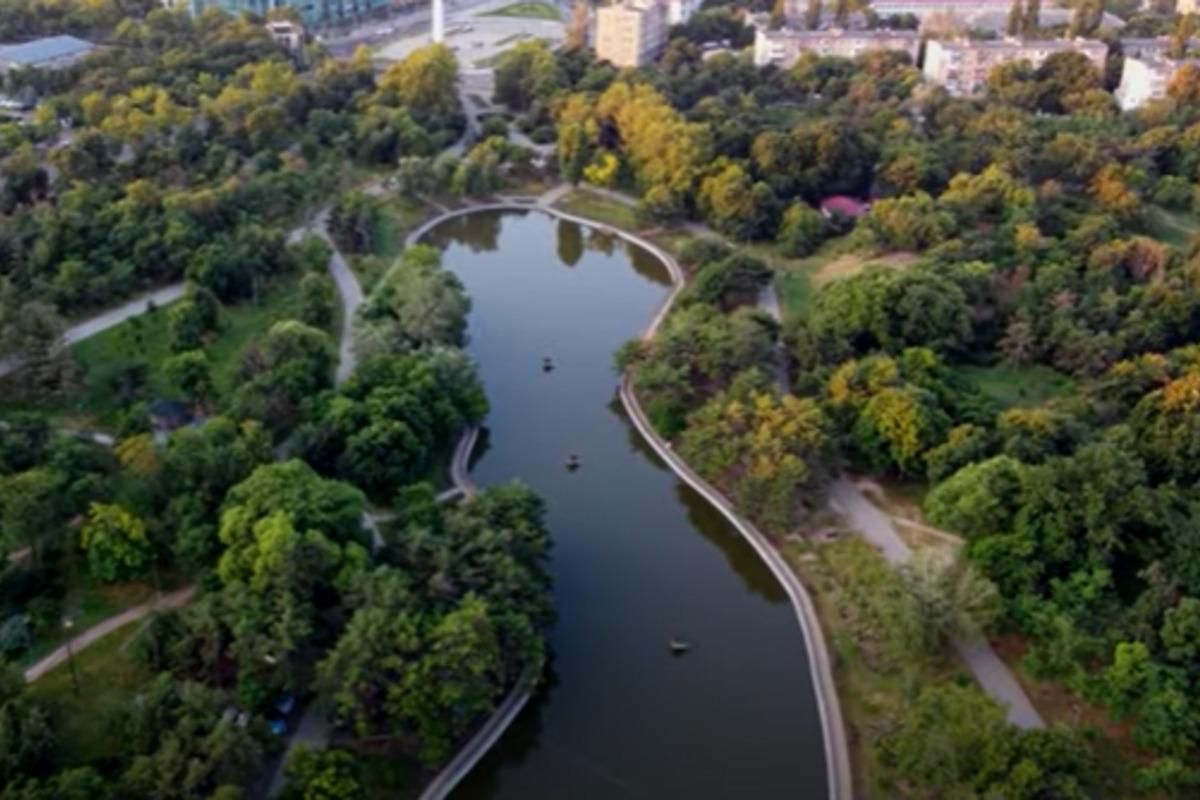 Сакура в бирюлевском дендропарке на схеме