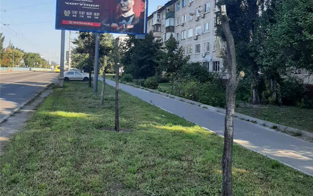 Дерева "заважали" рекламному борду, вночі від них позбулися / фото: facebook.com/zelenbud Дерева "заважали" рекламному борду, вночі від них позбулися / фото: facebook.com/zelenbud