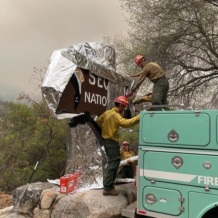 В США пожар угрожают парку секвой / фото instagram.com/sequoiakingsnps/ В США пожар угрожают парку секвой / фото instagram.com/sequoiakingsnps/