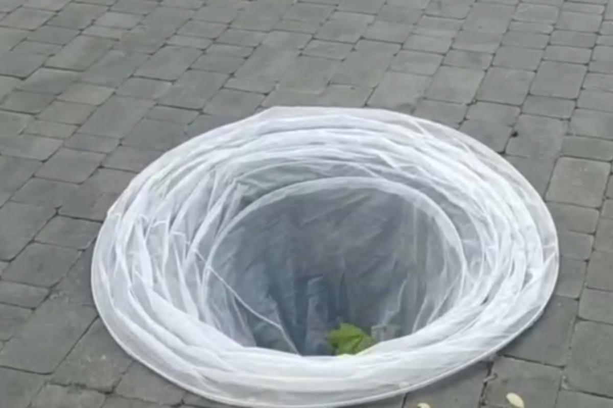 В Одесі встановили "розумний люк" / Скріншот В Одесі встановили "розумний люк" / Скріншот