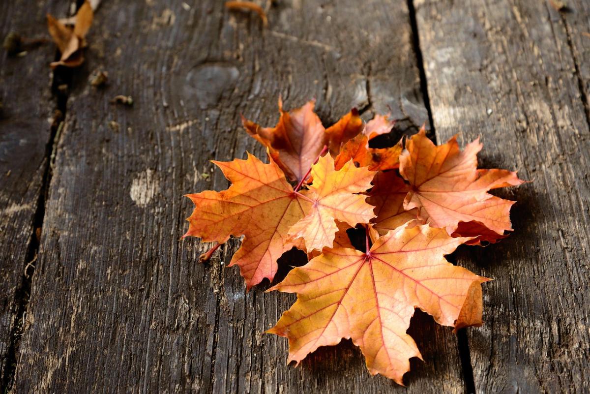 Погода в Україні / фото pixabay.com Погода в Україні / фото pixabay.com