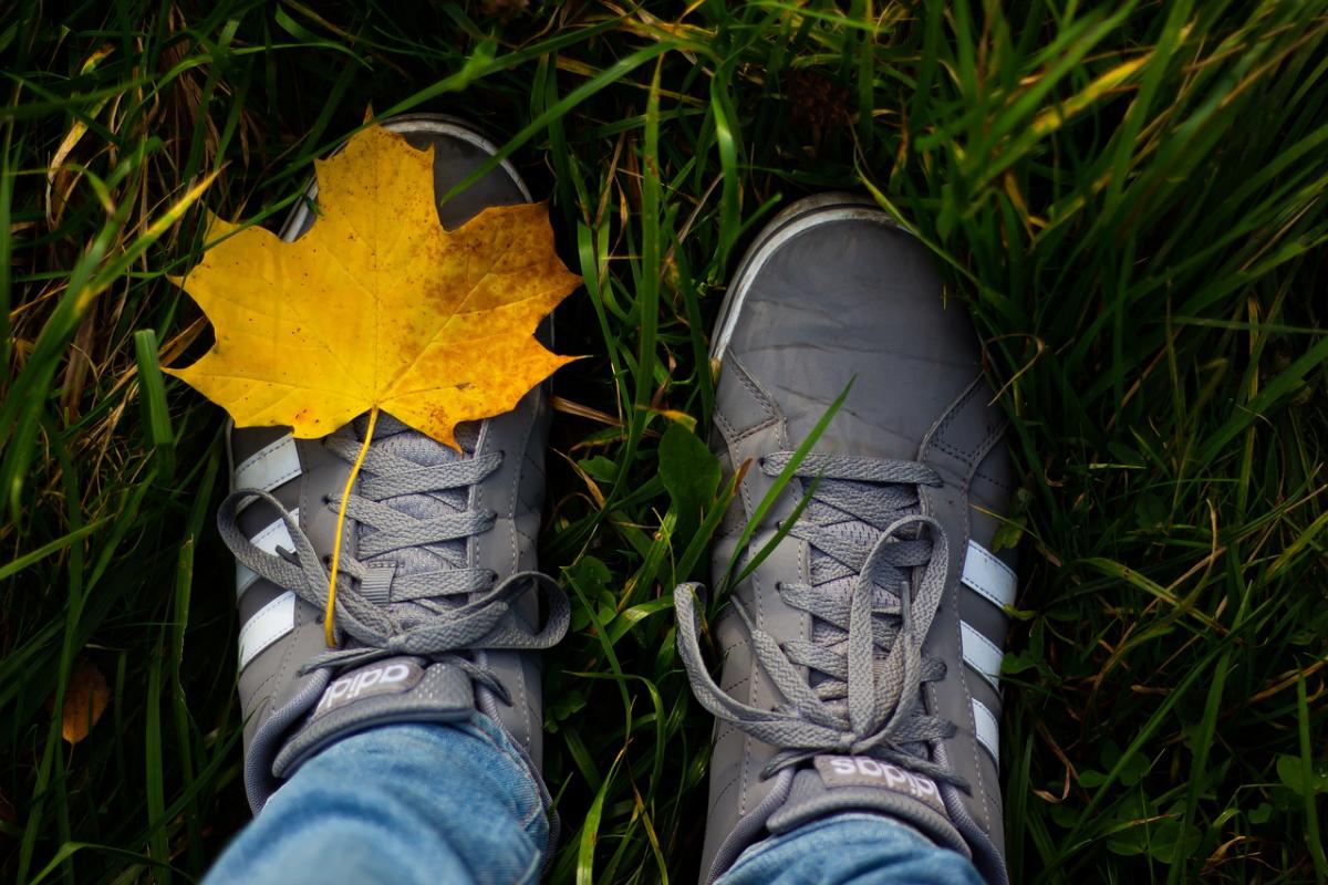 Погода на кінець жовтня / фото pixabay.com Погода на кінець жовтня / фото pixabay.com