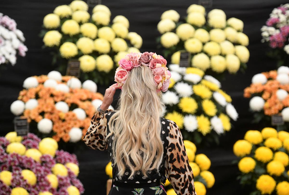 Chelsea Flower Show 2021 / фото REUTERS Chelsea Flower Show 2021 / фото REUTERS