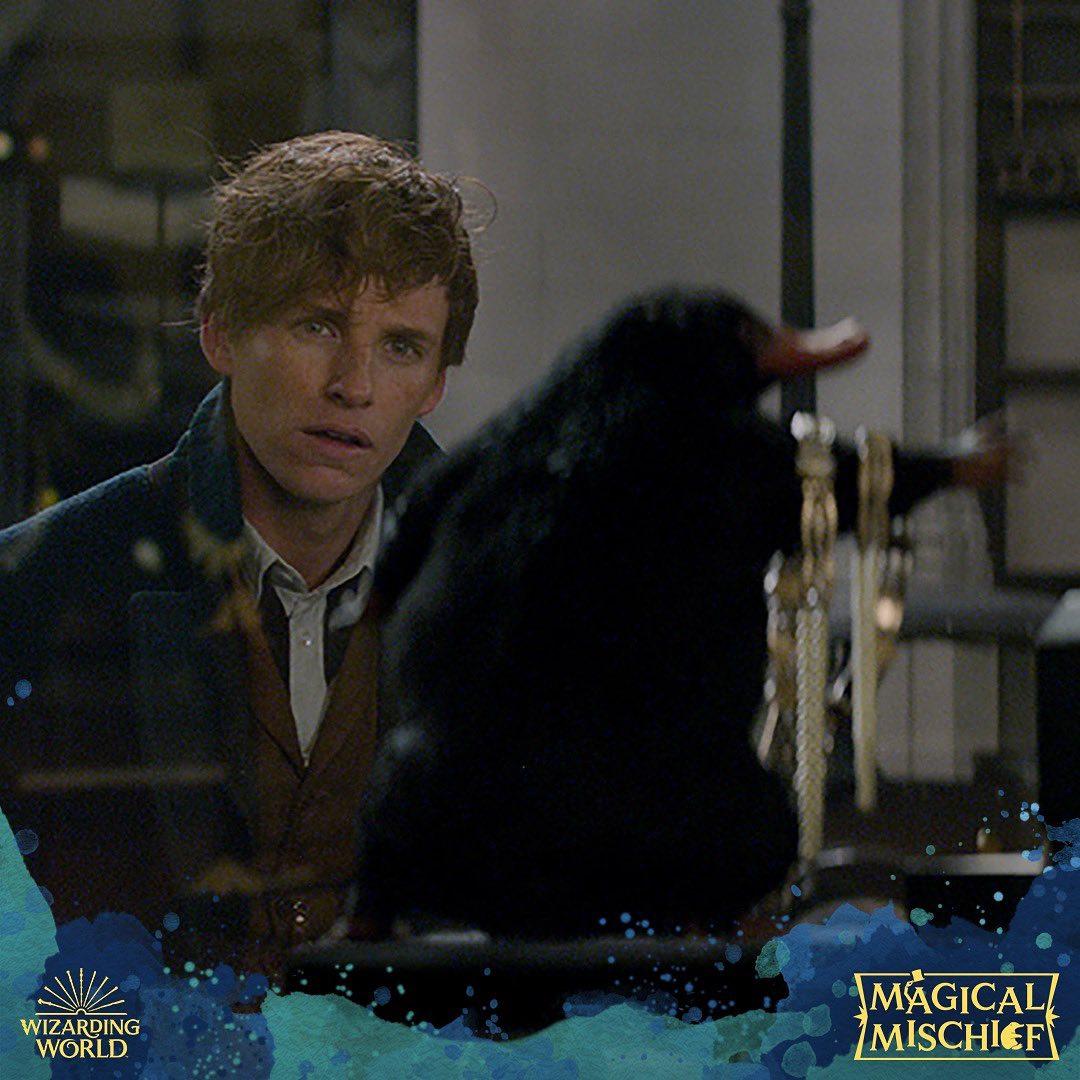 Третя частина вийде на три місяці раніше, ніж планувалося / instagram.com/fantasticbeastsmovie Третя частина вийде на три місяці раніше, ніж планувалося / instagram.com/fantasticbeastsmovie