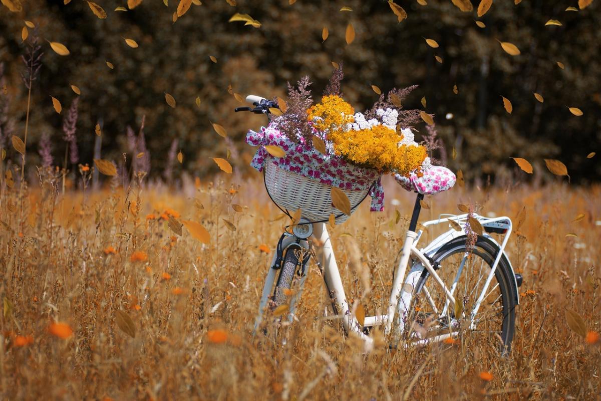 В Україні очікується велике потепління / фото pixabay.com В Україні очікується велике потепління / фото pixabay.com