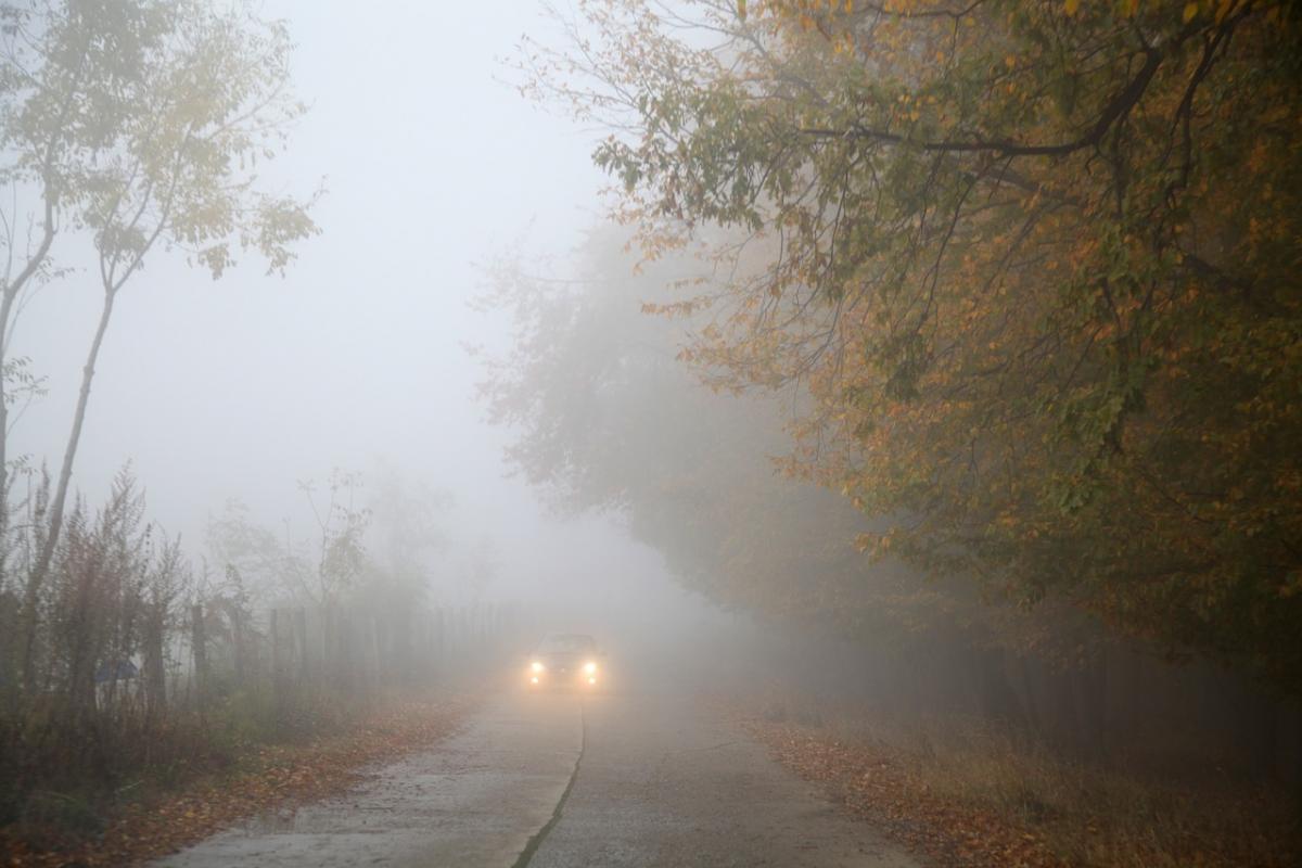 Thick fog is expected in Kyiv and the region during the day on September 22 / photo pixabay.com