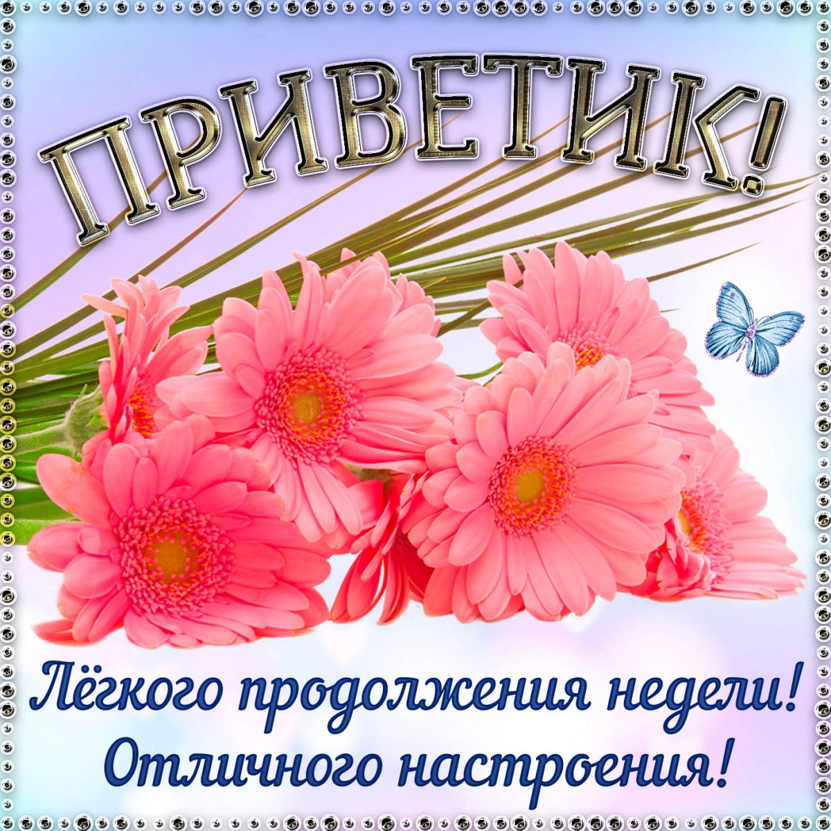 Прикольные картинки привет / фото fresh-cards.ru Прикольные картинки привет / фото fresh-cards.ru