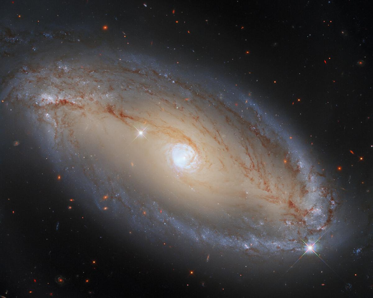 На снимке NCG 5728 выглядит как элегантная, светлая галактика / фото ESA/Hubble, A.Riess et al., J.Greene На снимке NCG 5728 выглядит как элегантная, светлая галактика / фото ESA/Hubble, A.Riess et al., J.Greene