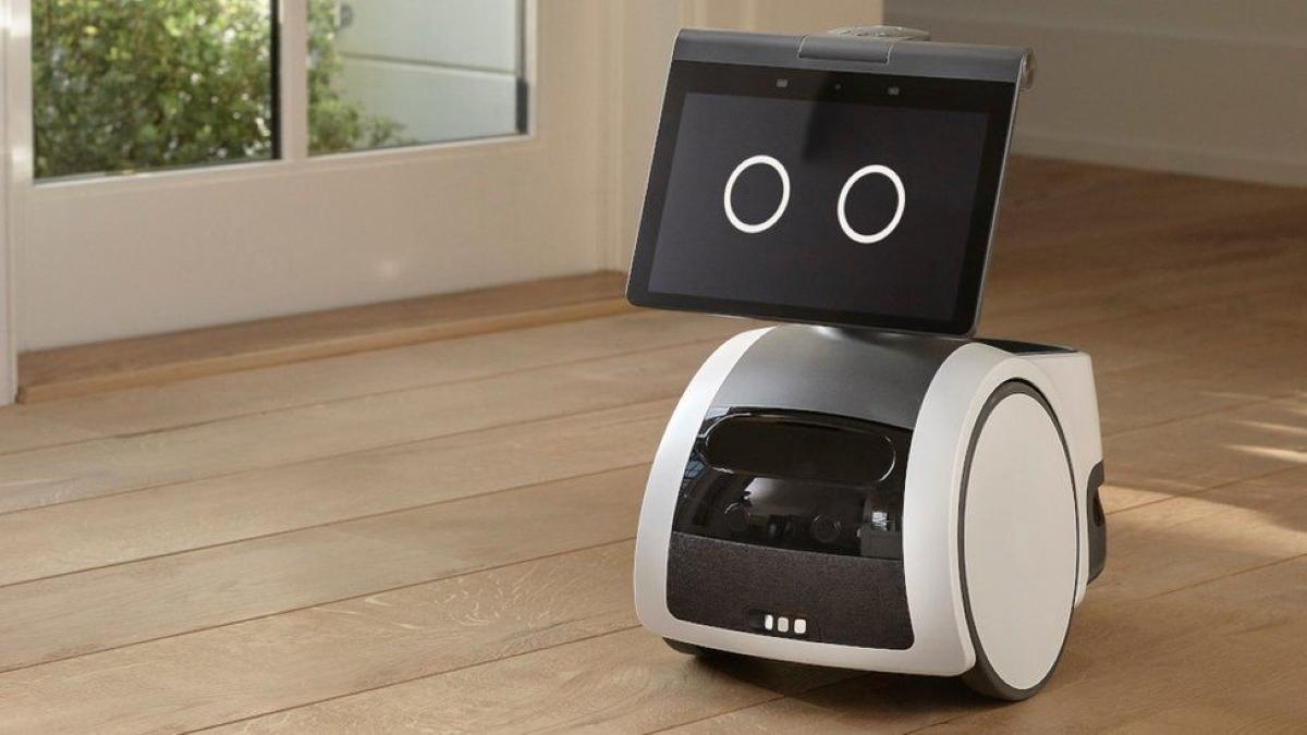 Almost half of household chores will soon be performed by robots / photo Amazon