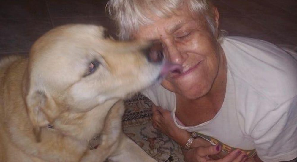 В США 74-летняя старушка отбила у аллигатора свою собаку - Vimarsana News