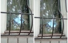 "Грызут друг друга": в доме бабушки погибшего в Черкассах мальчика голодают собаки (видео)