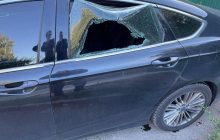 На Киевщине неизвестные разбили авто правозащитника и прикрепили на капот мертвую летучую мышь (фото)
