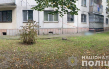 В Кременчуге жестоко убили пенсионерку, которая подкармливала животных (видео)