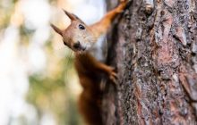 Температура в Україні опуститься нижче +10°: синоптик розказала, де буде найхолодніше