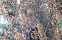 В Днепропетровской области на трассе нашли скелет женщины (фото)