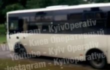 В Киеве маршрутка гоняла по тротуару и "атаковала" голубей (видео)
