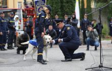 "Твоя місія виконана з честю": у Тернополі провели на пенсію собаку-рятувальника (фото)