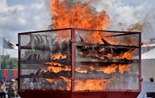 Індійська влада спалила 2,5 тисячі рогів носорогів - з благою метою (фото)