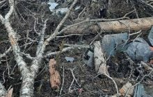 Авіакатастрофа в Росії: з'явилися перші фото та відео з місця аварії, ніхто не вижив