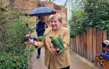 Меркель кумедно сфотографувалась з папугами: кадри розлетілись на меми