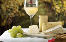 На виноробні Koblevo стартував сезон збору та переробки винограду