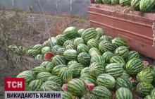 На Херсонщині аграрії масово викидають кавуни - їх не купують навіть по 50 копійок (відео)