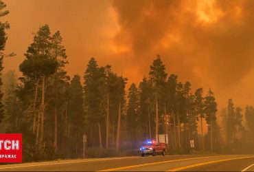 У Каліфорнії лісові пожежі впритул наблизилися до людей