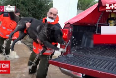 У Каталонії повністю затопило кілька прибережних міст - автівки плавають вулицями