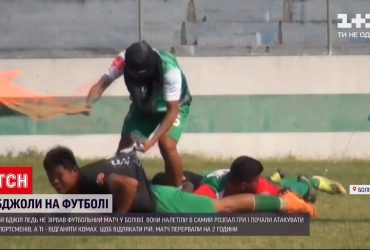 Агресивні бджоли ледь не зірвали футбольний матч у Болівії