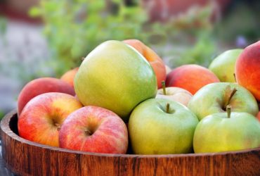 Куда девать опавшие яблоки: превращаем сад и огород в безотходное производство