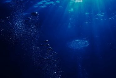 Вода на Землі стрімко втрачає кисень: учені попередили про нову напасть