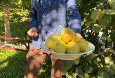 Що станеться, якщо щодня їсти груші: дослідження