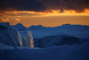 Загадковий монумент під простирадлом: дослідники показали незвичайний айсберг (відео)