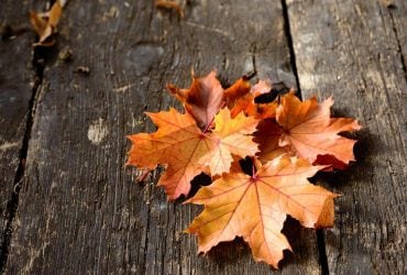 1 листопада Україну накриють температурні контрасти, температура впаде до +6° (карта)